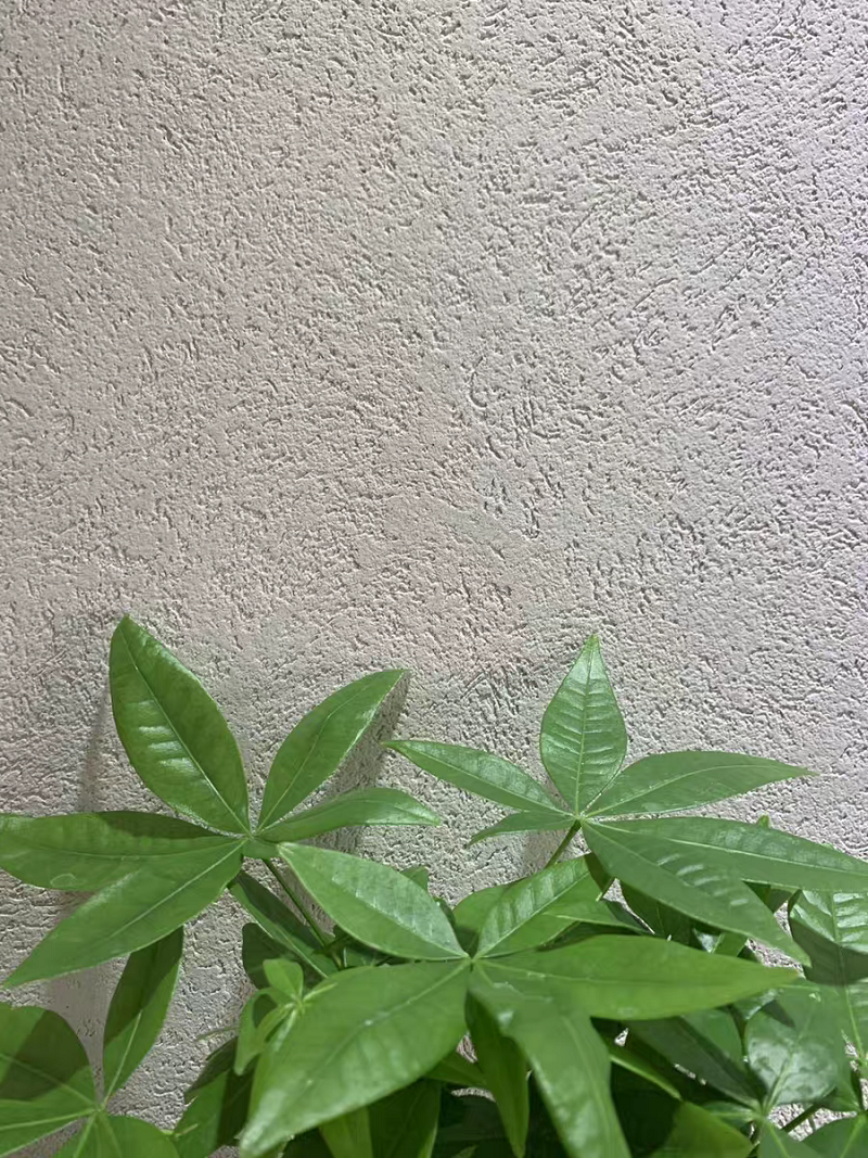萬磊雅晶石  內(nèi)附施工視頻，史上最全的雅晶石全攻略收錄