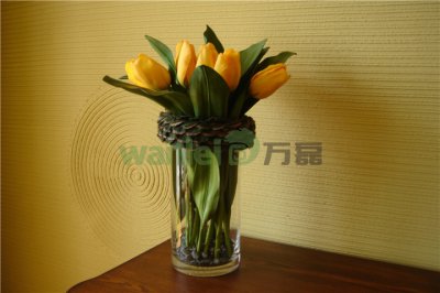 有了硅藻泥，新房入住不再等！