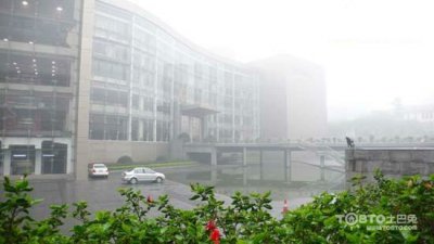 驚蟄過(guò)，春雨至，硅藻泥讓你告別濕轆轆